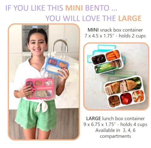 Small Snack Box Containers for Kids (3 Count)