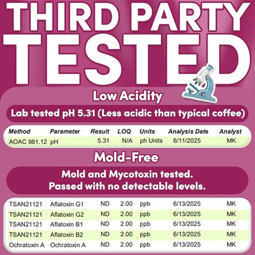 Sarasota Coffee 1905 Cold Brew Coffee Bags (8 Ounce)