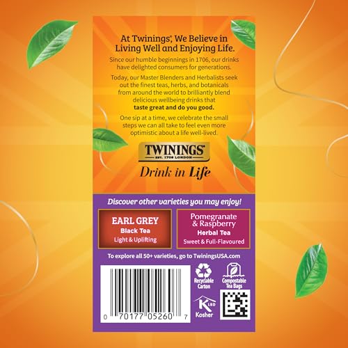 Blackcurrant Breeze Black Tea Individually Wrapped Bags (120 Count)