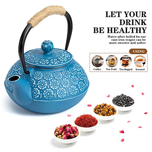 Cast Iron Tea Pot with Infusers for Loose Tea