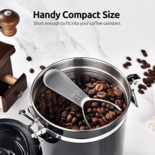 18 8 Stainless Steel Coffee Scoop (2 Count)