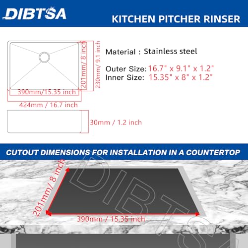 Pitcher Rinser