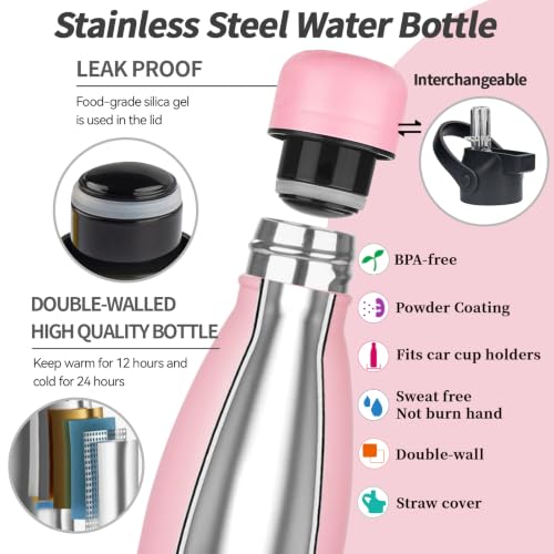 Insulated Water Bottle (2 Count)