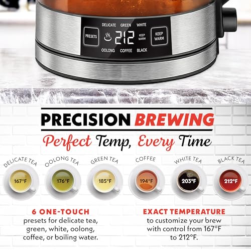Programmable Digital Glass Kettle