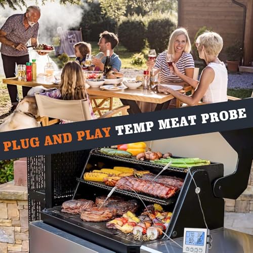 Meat Probe Replacement for Thermopro Thermometer TP04 TP06 etc (2 Count)