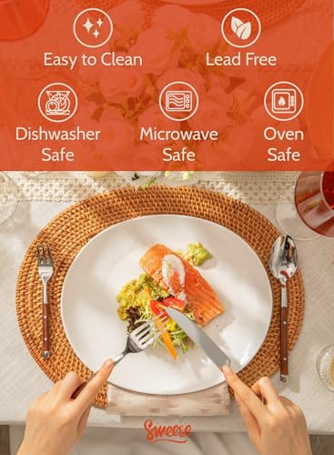 Porcelain 11 Inch Dinner Plates Set of 6 (6 Count)