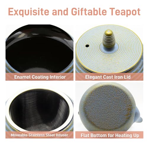Teapot with Stainless Steel Infuser for Loose Tea