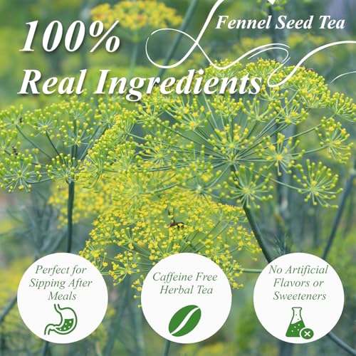 Fennel Tea Bags 100 Count