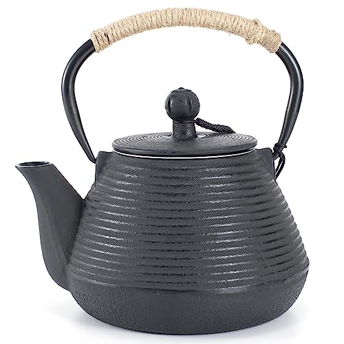 Cast Iron Teapot