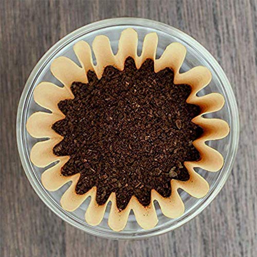 Natural Unbleached Brown Biodegradable Extra Large Coffee Filters 10 (500 Count)
