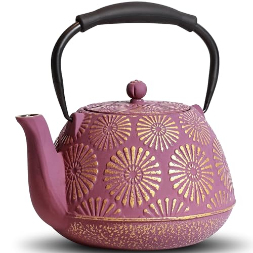 Cast Iron Teapot