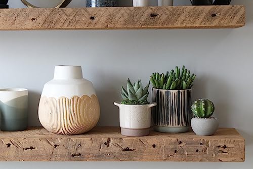 Reclaimed Barnwood Planks (2 Count)