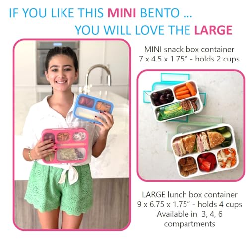 Small Snack Box Containers for Kids Toddlers (2 Count)