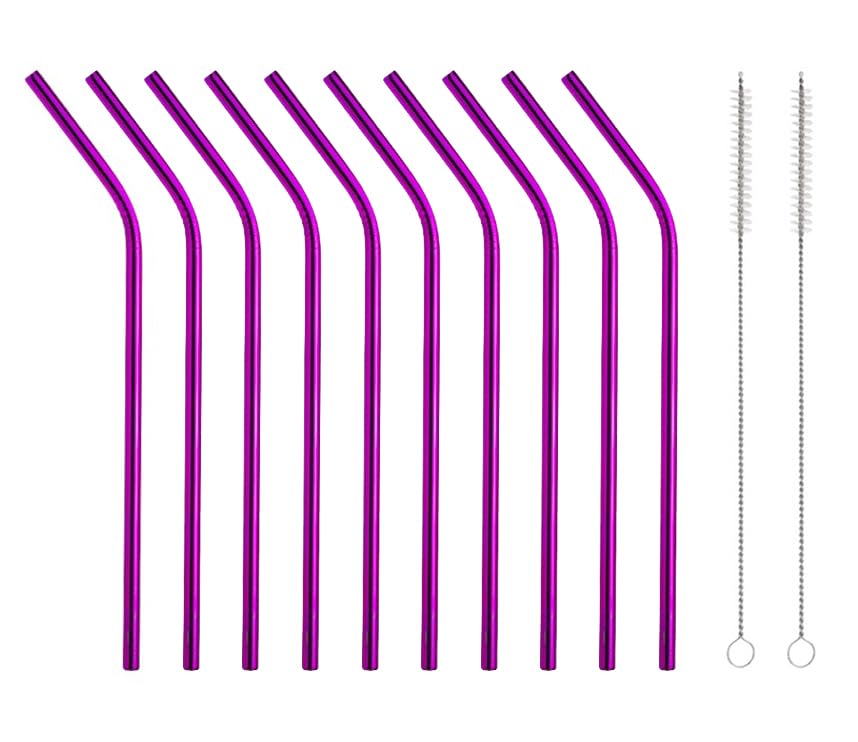 10 Pcs Stainless Steel Straws (10 Count)