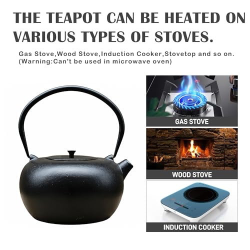 67.6oz Large Cast Iron Teapot and Cups Set