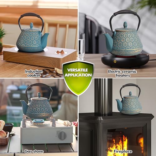 Cast Iron Teapot