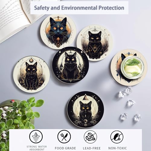 Drink Coasters Set of 6 with Holder