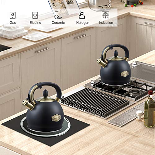 Stove Top Whistling Tea Kettle