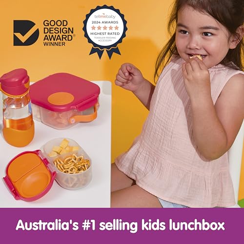 Snack Box 2 Pack (2 Count)
