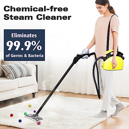 Steam Cleaner (21 Count)