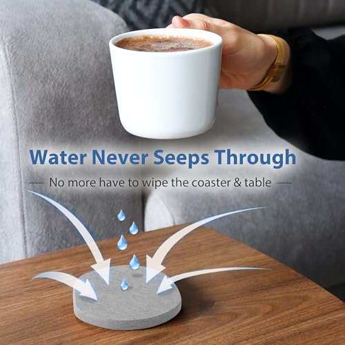 6 Pack Diatomite Absorbent Coasters for Drinks (6 Count)