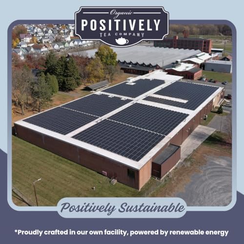 Positively Tea (16 Ounce)
