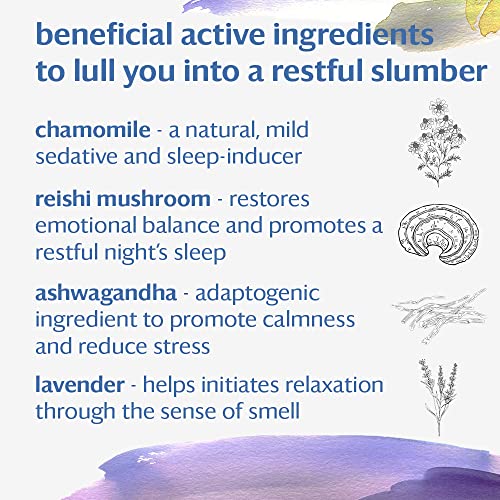 REST Wellness Organic Tea Blend (50 Count)