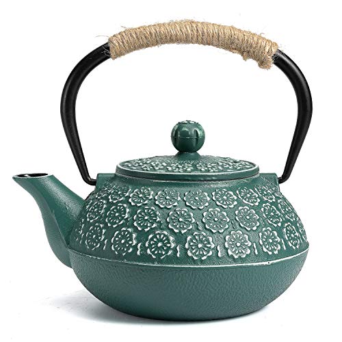 Cast Iron Tea Pot with Infusers for Loose Tea