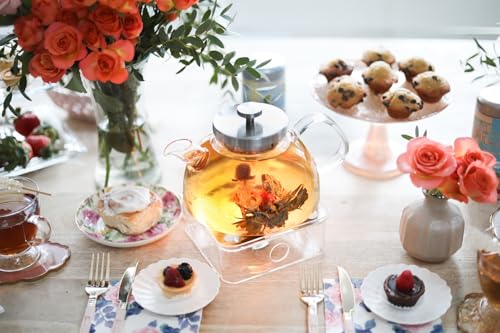 Balance Borosilicate Glass Tea Kettle & Teapot