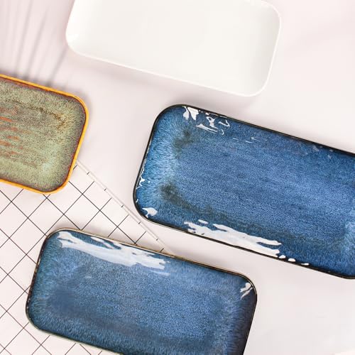 Porcelain Dinner Plates Blue 2 PCS (2 Count)