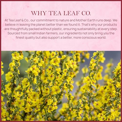 Tealeaf & Co. Mullein Leaf Tea Blended with Fresh Herbs (7.055 Ounce)