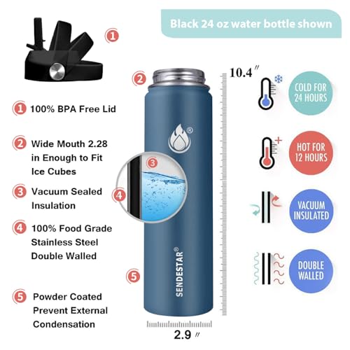 Insulated Water Bottle 24 oz with Straw