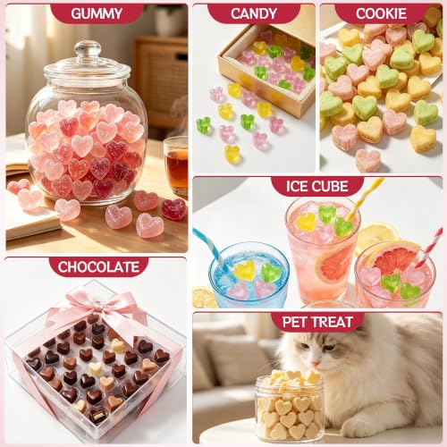 Heart Mini Silicone Gummy Molds with 1 Dropper
