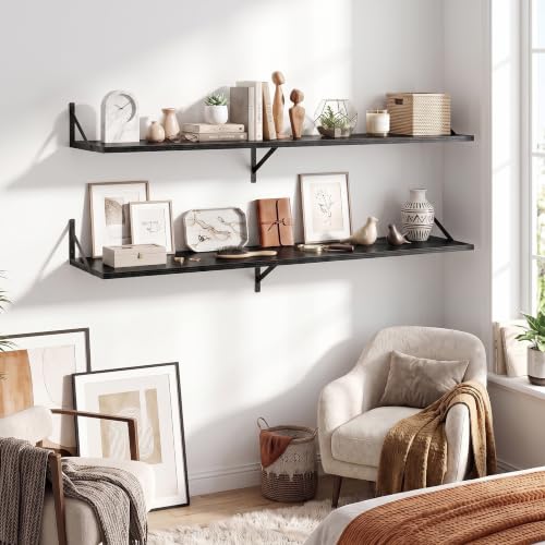 Wall Mounted Floating Shelves Set of 2 (2 Count)