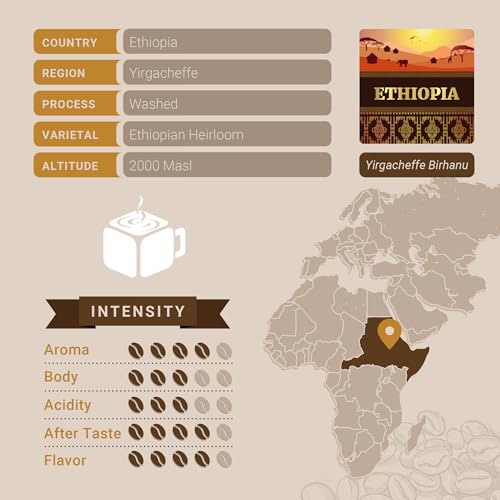 Ethiopian Yirgacheffe Coffee (10 Count)