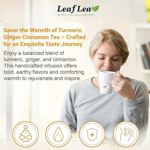 Ginger Turmeric Cinnamon Tea Bags (240 Count)
