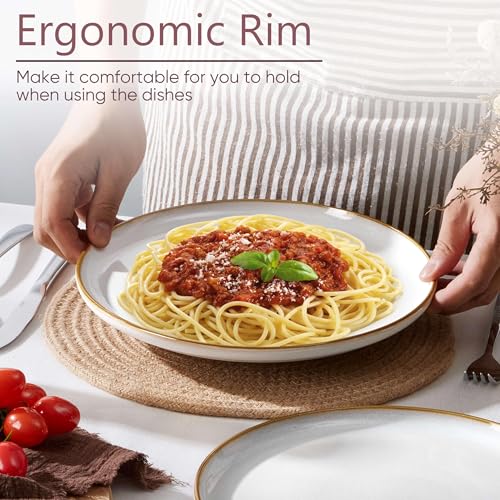 Ceramic 10.43 Inch Dinner Plates Set of 6