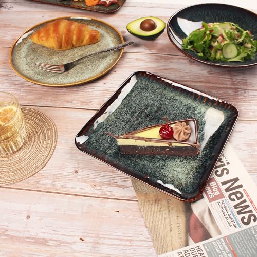 Ceramic Dinner Plates Dish Set (4 Count)