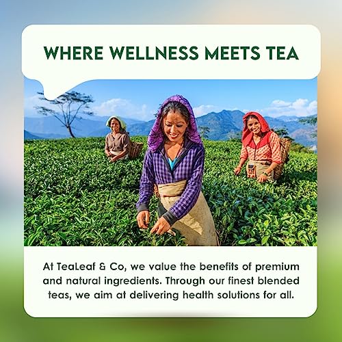 Tealeaf & Co. Chamomile Green Tea Loose Leaf with Lemon Extract and Lemongrass (3.5274 Ounce)