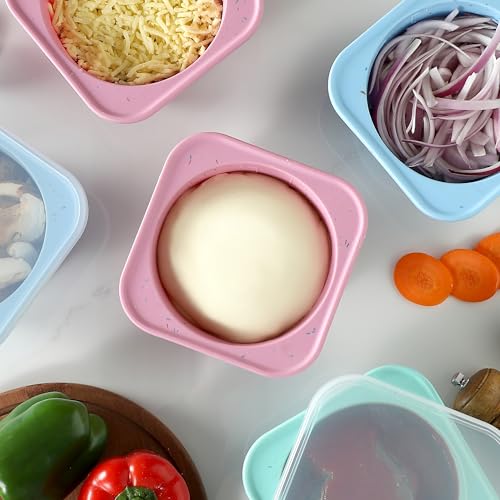 PLUS 1000ml Pizza Dough Proofing Containers for DIY family Artisan Pizza (3 Count)