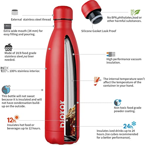 25 oz Insulated Water Bottle