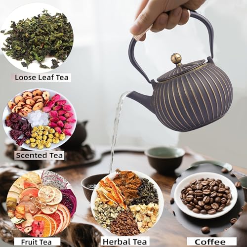 Cast Iron Teapot 40oz Infuser