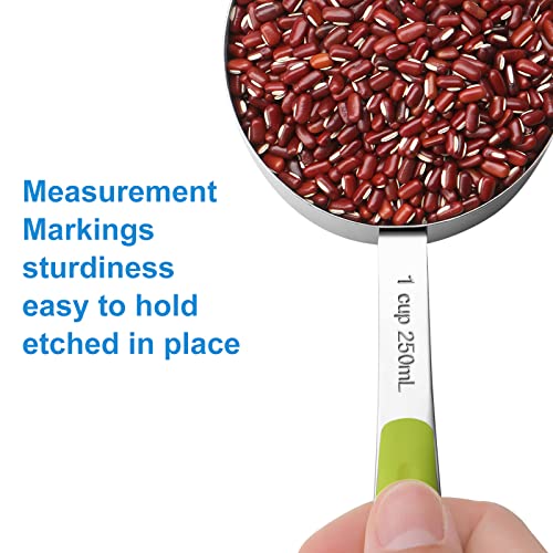 13 Piece Measuring Cups and Spoons Set Stainless Steel for Cooking & Baking (13 Ounce)