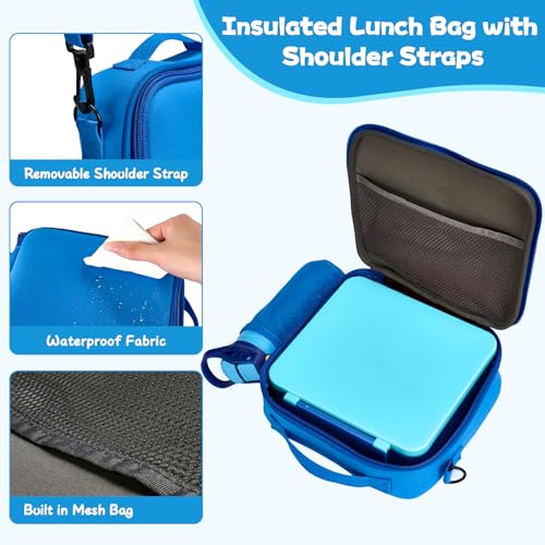 Kids Bento Lunch Box with 8oz Soup Thermo