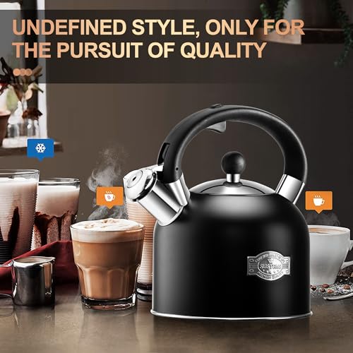 Tea Kettle 3.17QT Stainless Steel Whistling Tea Pot