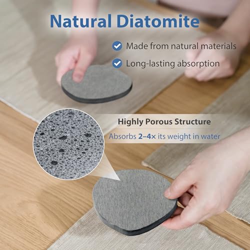 6 Pack Diatomite Absorbent Coasters for Drinks (6 Count)