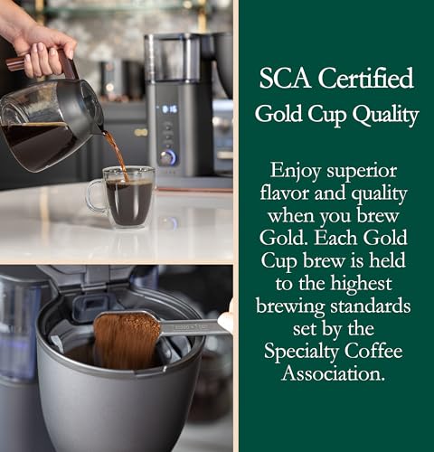Specialty Drip Coffee Maker (10 Count)