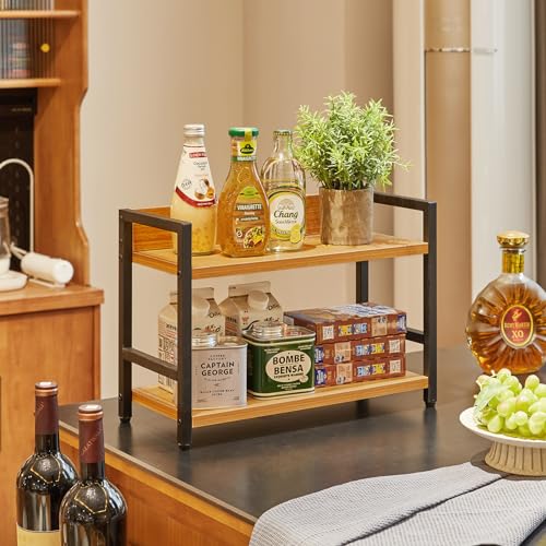 2 Tier Spice Rack