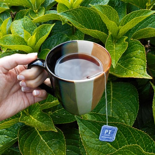 Positively Tea (20 Count)