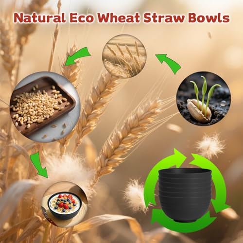 Wheat Straw Bowls Set of 6